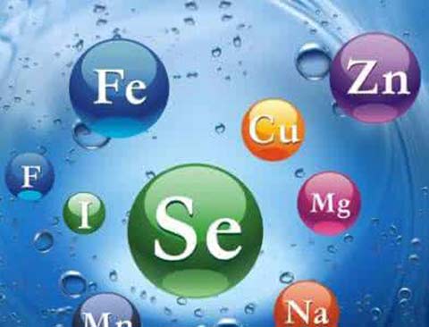 怎样选择好的蘑菇视频下载入口厂家