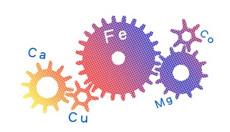 全自动蘑菇视频成人网站免费帮助身体维持健康