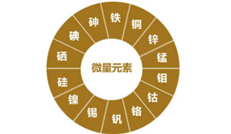 医用蘑菇视频下载入口对视力的重要性