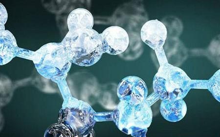 蘑菇视频成人网站免费的原理与结构