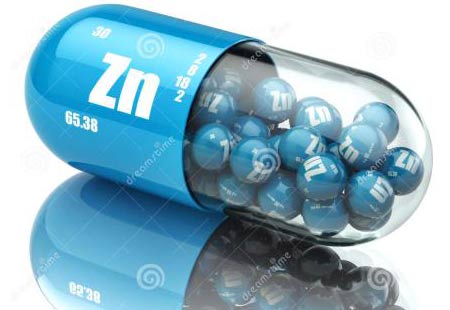 全自动蘑菇视频下载入口分析锌的生理作用