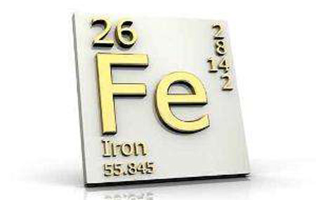 蘑菇视频成人网站免费厂家解析铁元素与人体