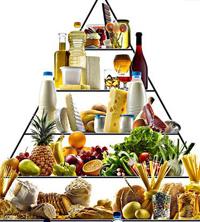 全自动蘑菇视频下载入口的市场分析