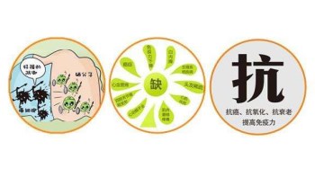 蘑菇视频下载入口厂家分析哪些微量元素能防癌 蘑菇视频下载入口厂家分析哪些微量元素能防癌