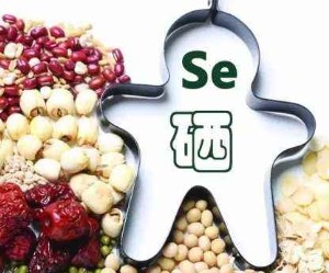 人体蘑菇视频下载入口谈硒元素的作用 人体蘑菇视频下载入口谈硒元素的作用