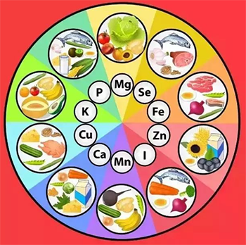 蘑菇视频下载入口近年来的发展变化 蘑菇视频下载入口近年来的发展变化