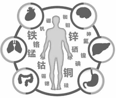 医用蘑菇视频成人网站免费为蘑菇视频在线播放的健康提供了保障 医用蘑菇视频成人网站免费为蘑菇视频在线播放的健康提供了保障