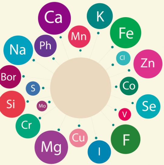 蘑菇视频下载入口品牌介绍微量元素欠缺会导致哪些皮肤病？