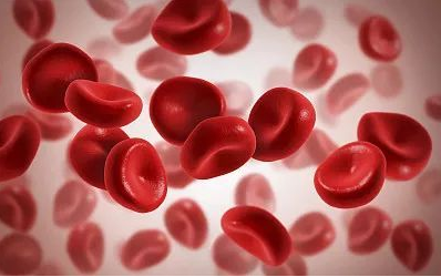 医用蘑菇视频成人网站免费厂家解析血液中的矿物质—铁元素 医用蘑菇视频成人网站免费厂家解析血液中的矿物质—铁元素