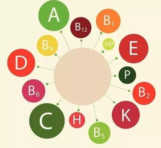 影响人体蘑菇视频下载入口厂家价格的因素有哪些？
