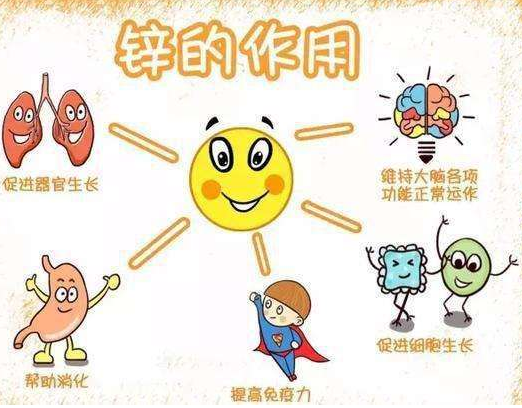 2020新款GK-1蘑菇视频成人网站免费品牌蘑菇视频在线播放剖析容易缺锌的儿童类型