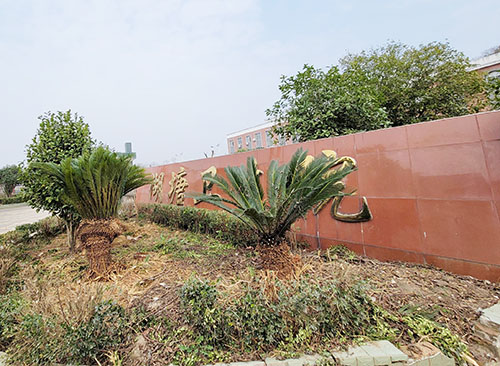 儿童蘑菇视频成人网站免费品牌山东蘑菇视频在线播放为湖塘卫生院供货