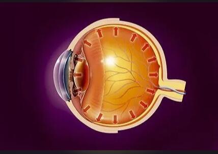 微量元素测定仪器检测分析硒与青光眼有什么密切联系 微量元素测定仪器检测分析硒与青光眼有什么密切联系