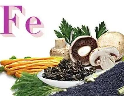 全自动蘑菇视频下载入口品牌提示老人最需要补的6个微量元素你清楚吗？