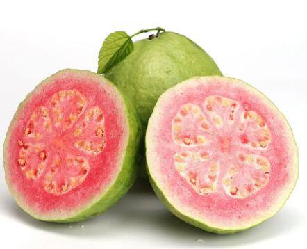 人体蘑菇视频下载入口提示吃虾皮能补钙，营养高，但误食相当于没有吃