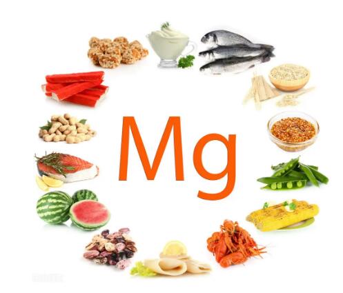 蘑菇视频成人网站免费厂家提醒镁元素在身体里功能你知道吗？