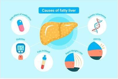 蘑菇视频成人网站免费厂家提示小宝宝需要每天补钙和鱼肝油吗？