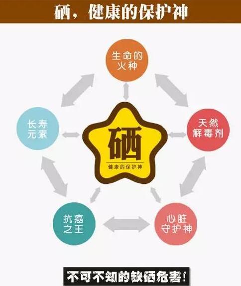 全自动蘑菇视频下载入口品牌提示硒元素对脑血管病产生的影响 全自动蘑菇视频下载入口品牌提示硒元素对脑血管病产生的影响