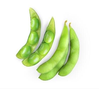 医用微量元素测试仪厂家提示健脑又补铁，小宝宝成长发育可以多吃这种蔬菜