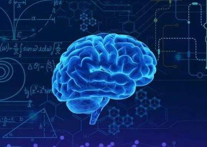 7.7山西晋中微量元素测定仪厂家介绍铁元素对大脑健康的重要性—蘑菇视频在线播放器械